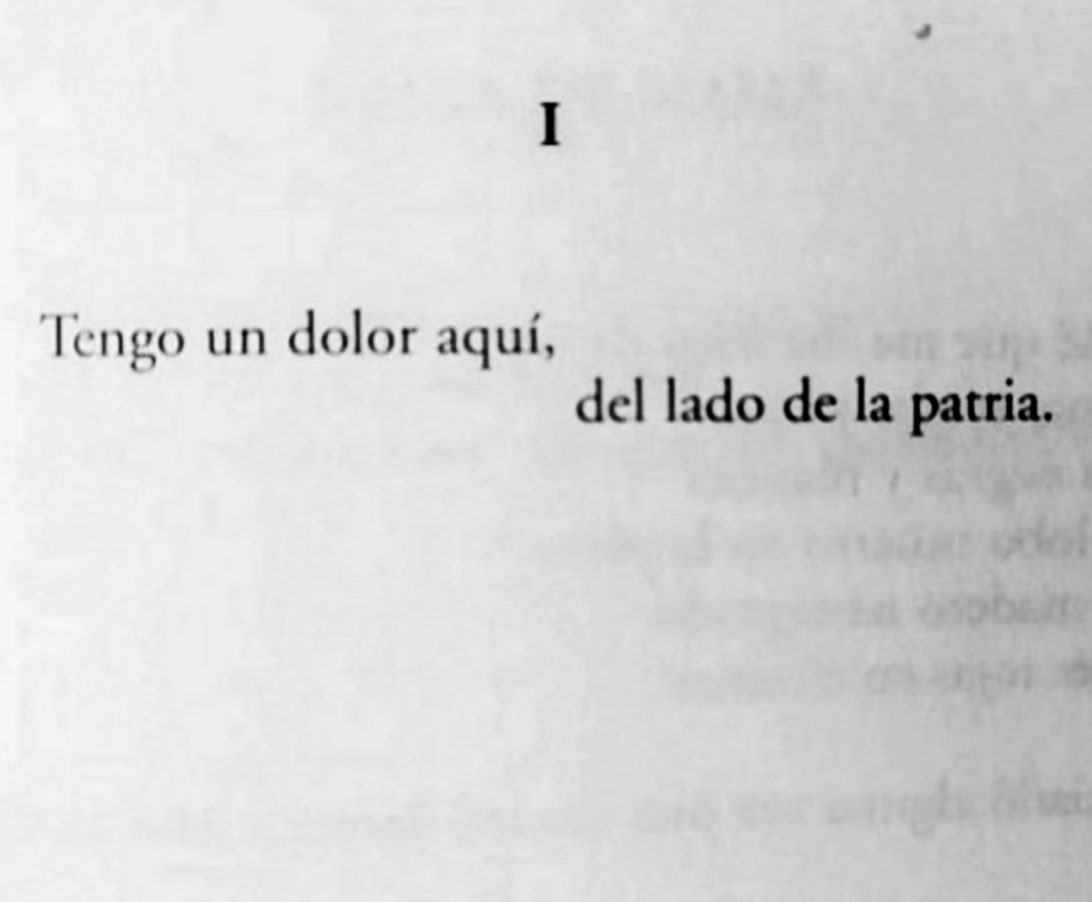 Cementerio De Libros tweet media