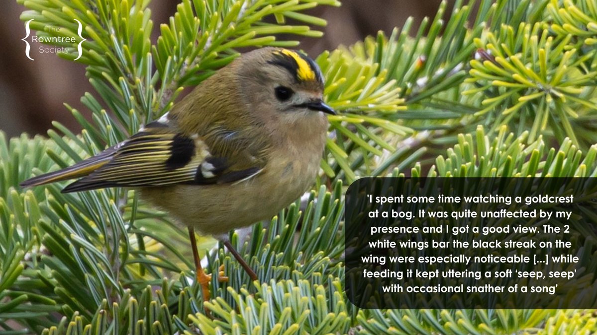 The Rowntree Society (@rowntreesoc) on Twitter photo Michael Rowntree's passion for birdwatching demonstrates the care and consideration with which he lived his life. His deep appreciation of the beauty that the world possesses is a key part of the Rowntree family heritage.
<a href="/UoYBorthwick/">UoY Borthwick Institute for Archives</a>
<a href="/JRF_UK/">Joseph Rowntree Foundation</a>
<a href="/JRCT_UK/">Joseph Rowntree Charitable Trust</a>
<a href="/JRRT1904/">JRRT</a>
<a href="/Natures_Voice/">RSPB</a> Michael Rowntree's passion for birdwatching demonstrates the care and consideration with which he lived his life. His deep appreciation of the beauty that the world possesses is a key part of the Rowntree family heritage.
<a href="/UoYBorthwick/">UoY Borthwick Institute for Archives</a>
<a href="/JRF_UK/">Joseph Rowntree Foundation</a>
<a href="/JRCT_UK/">Joseph Rowntree Charitable Trust</a>
<a href="/JRRT1904/">JRRT</a>
<a href="/Natures_Voice/">RSPB</a>