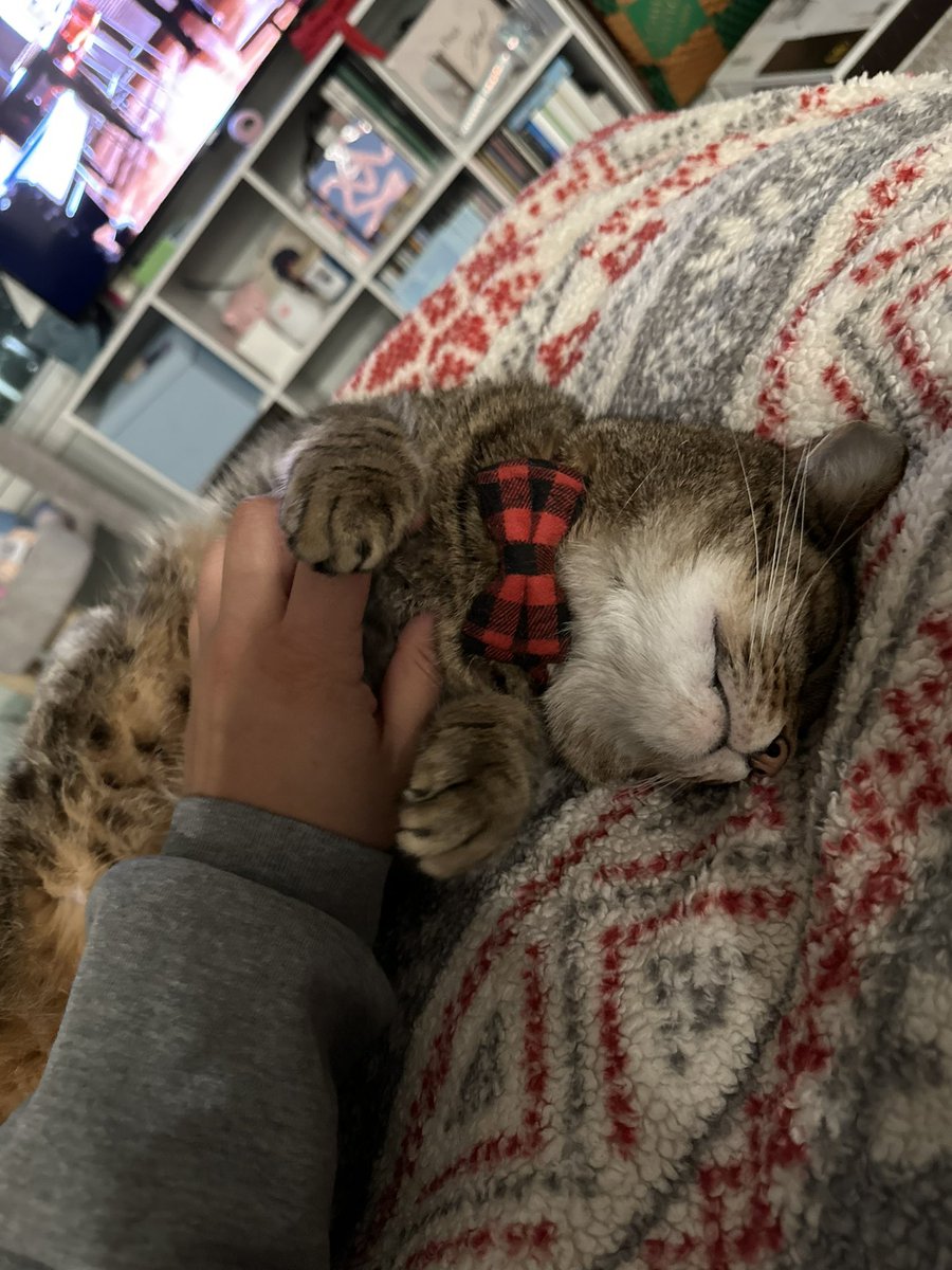 buttered toast tweet media