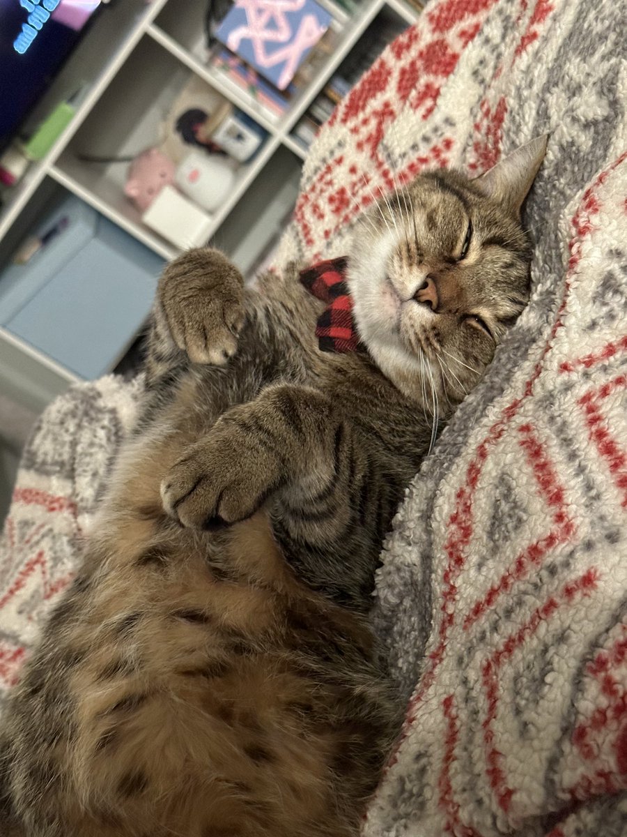 buttered toast tweet media