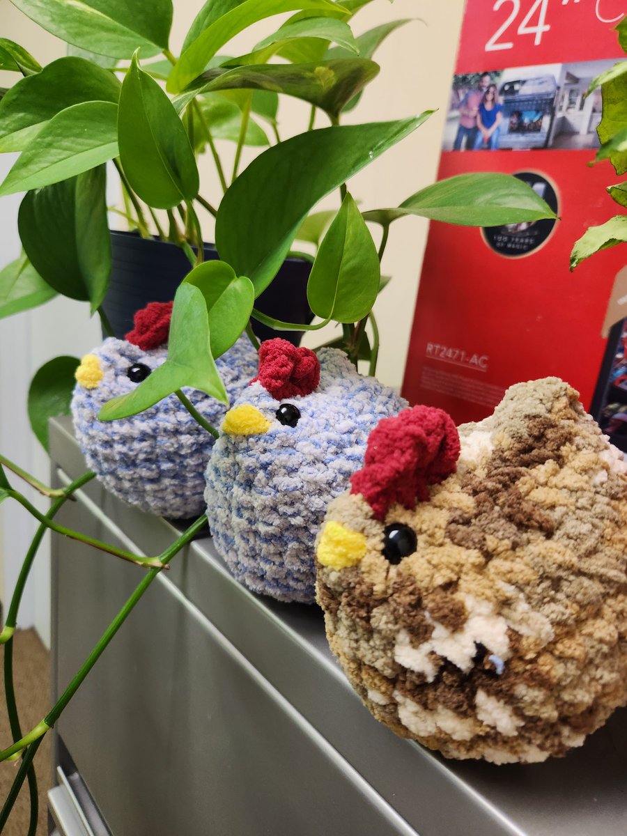Baublesboutiqu1's tweet photo. Preparing my own chicken army of 2023. https://t.co/YBTAkLf1I4