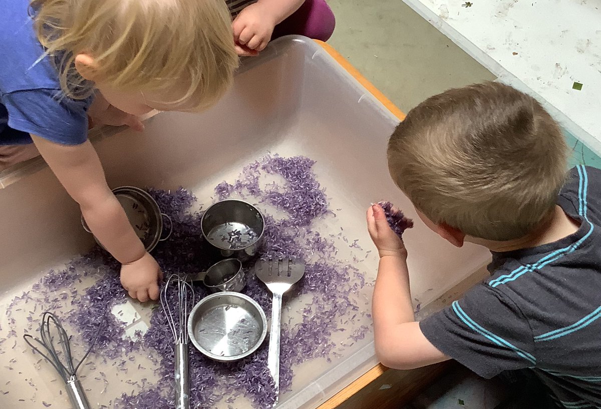 meadowsnursery's tweet photo. The Early Years have explored lavender scented rice in their tactile tray #scentday https://t.co/BJ73rG3Wvk
