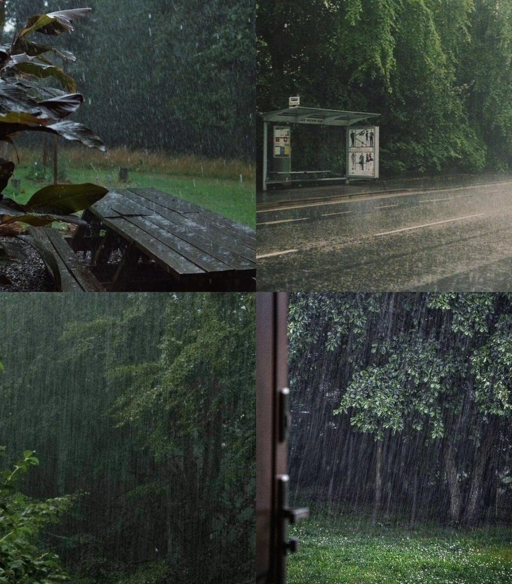 artindetails's tweet image. the smell of rain 🌧️