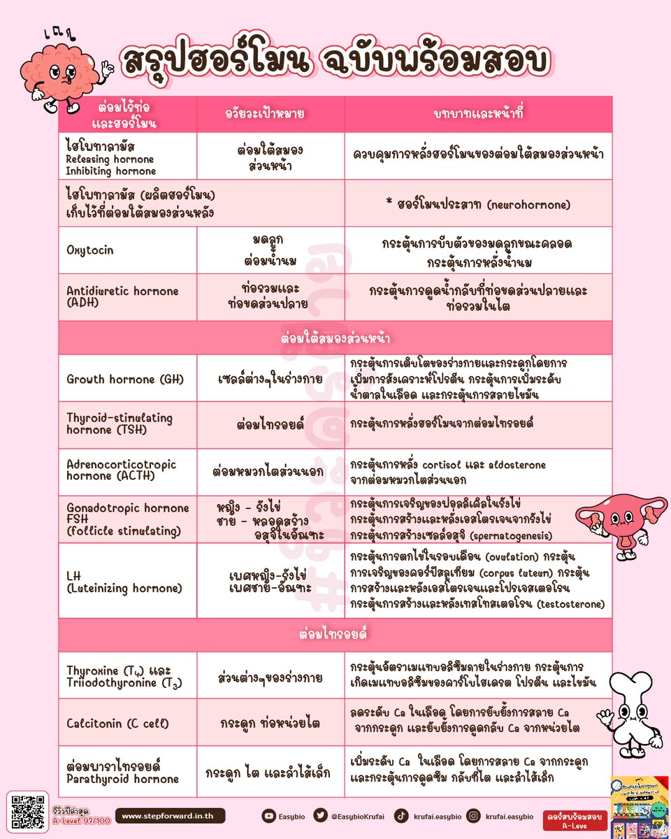 easybioKruFai's tweet photo. 📚แจกฟรี รีไปเลย‼️

สรุป #ฮอร์โมน ใช้อ่านสอบได้ทุกสนาม
เอกสารมีทั้งหมด 3 แผ่น
💚แอดไลน์ @easybio + ทักแชท พิมพ์: s6701

เก่งฮอร์โมนในคอร์สนี้ https://t.co/sJojfxnFcS
ลด500เหลือ 2,750 กรอก code: neweasybio

#dek67 #TCAS67 #ชีวะครูฝ้าย #ALevelชีวะ #สอวนชีวะ #netsat https://t.co/Hq8xwXtdGC