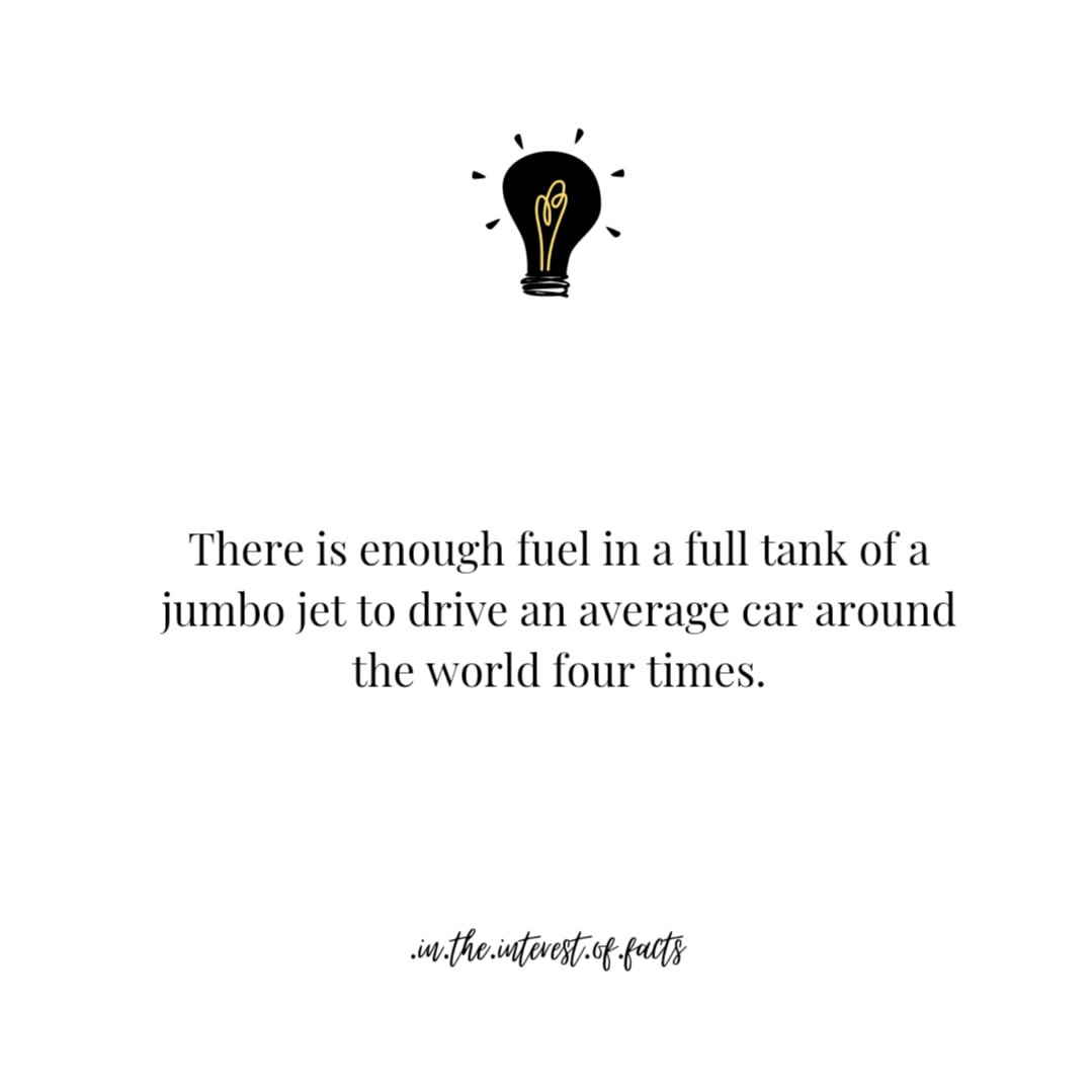 _Facts_Fun's tweet photo. True or False?
@FUNFACTS
.
#fun&amp;facts #interestingfacts #justfacts https://t.co/mnld2tEs7w