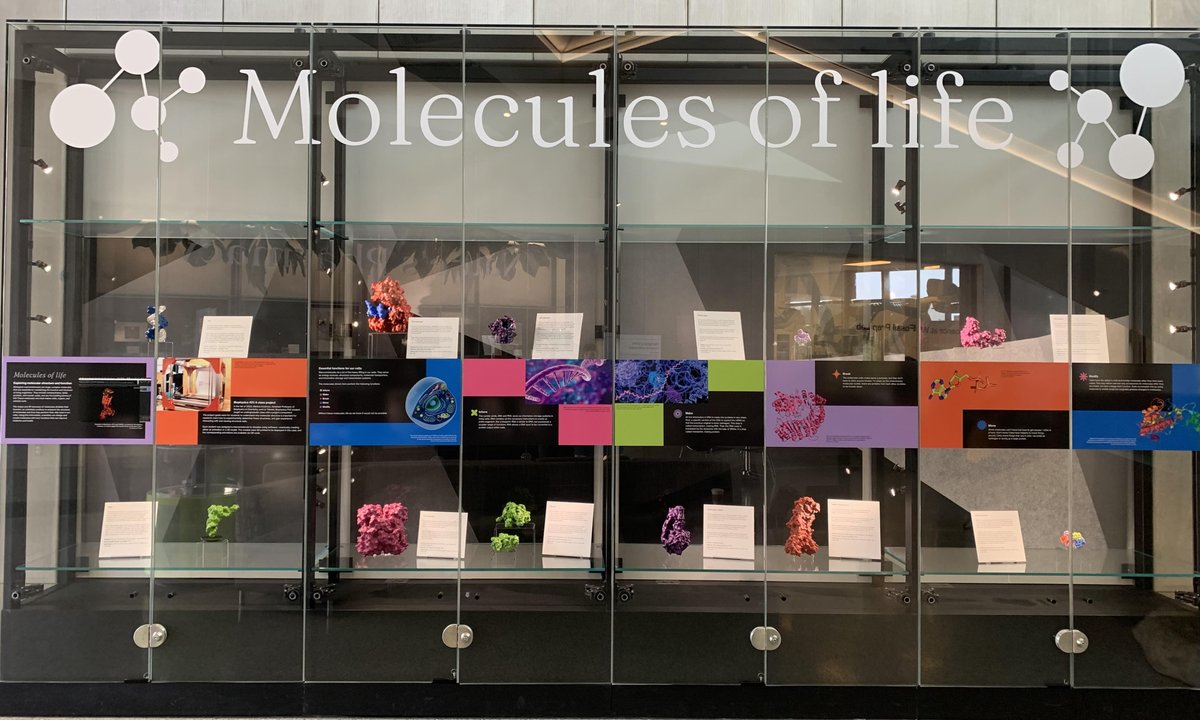 Koutmos Lab (@koutmoslab) on Twitter photo We are so excited for the Molecules of Life exhibit that is now up at the Museum of Natural History! Come check out Liz's amazing work bringing Biophysics 421 student's animations and 3D printed molecules to the public! <a href="/UMMNH/">University of Michigan Museum of Natural History</a> <a href="/UMBiophys/">Michigan Biophysics</a> We are so excited for the Molecules of Life exhibit that is now up at the Museum of Natural History! Come check out Liz's amazing work bringing Biophysics 421 student's animations and 3D printed molecules to the public! <a href="/UMMNH/">University of Michigan Museum of Natural History</a> <a href="/UMBiophys/">Michigan Biophysics</a>