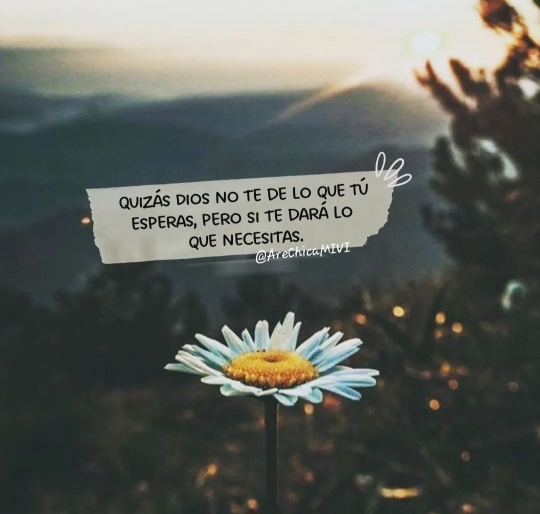 🌼