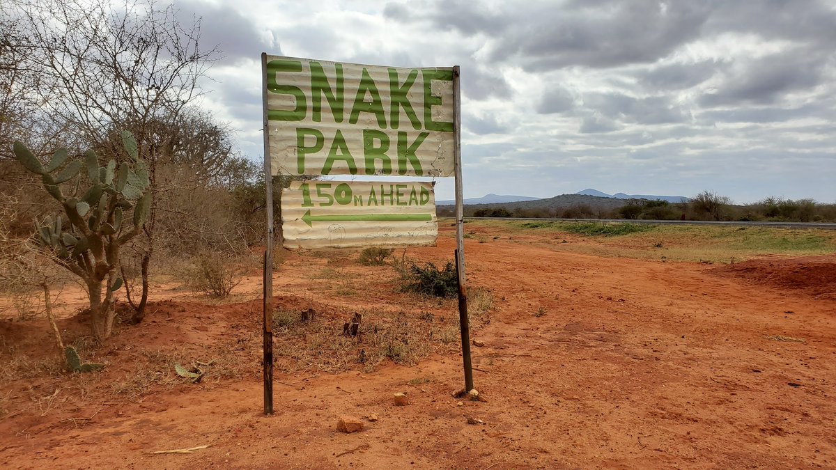 Patrick Mwafusi, of Taita Taveta snake park in Mwakitau, says that we should not kill snakes. That out of the more than 3,000 species, only 10% of them are venomous. And that we should call him whenever we see a snake.

A very good chap. Pay him a visit on your way to Taveta.