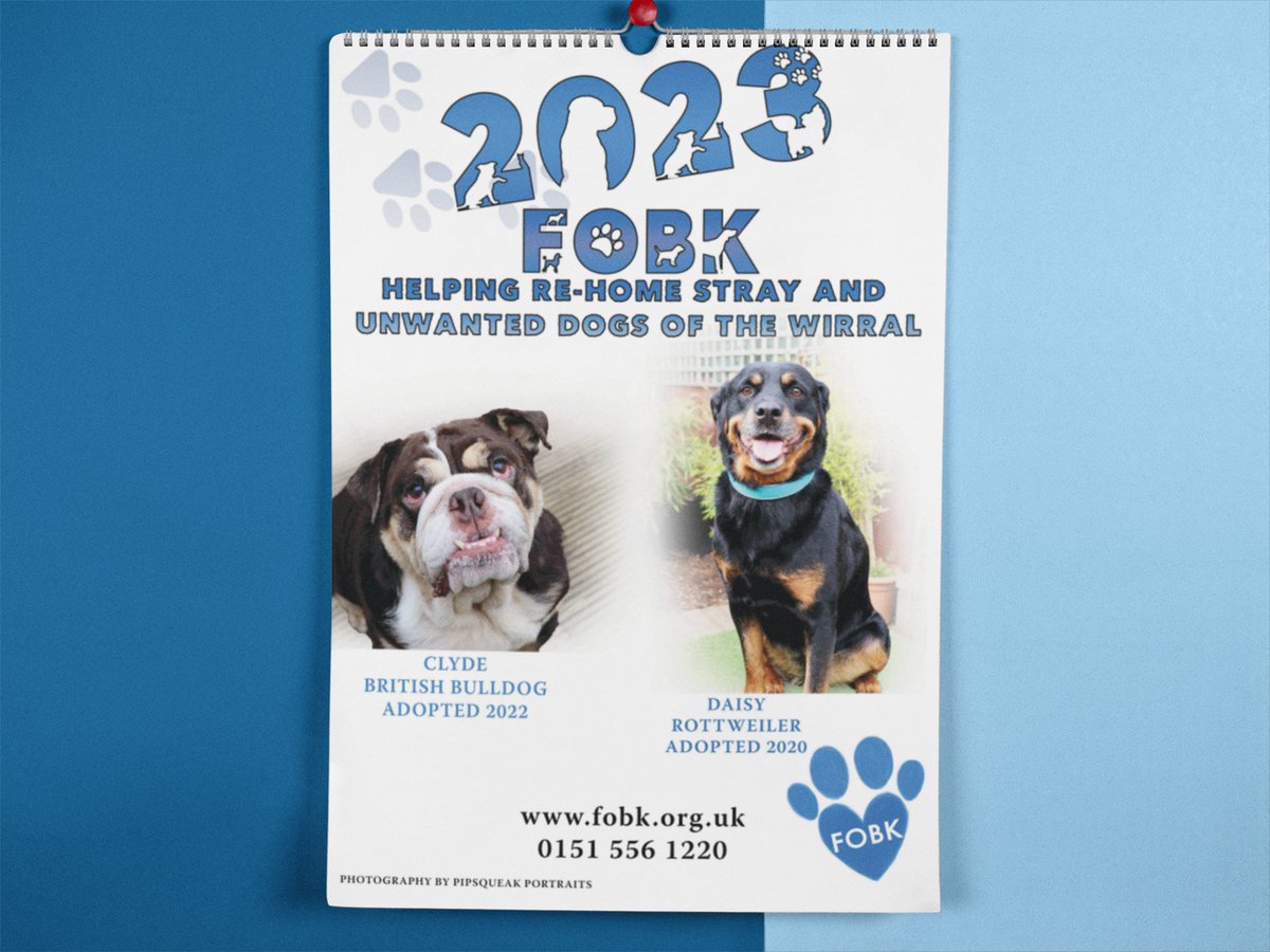 NowPrintUK's tweet photo. Custom printed calendars are a great way to promote your business or charity and keep your brand or cause in front of your customers or supporters throughout the year. https://t.co/GrxEY0Ffmt
#charity #charityfund #smallbusiness #charityfundraising #charityfundraisers #wirral https://t.co/xQnBQuoh1Q