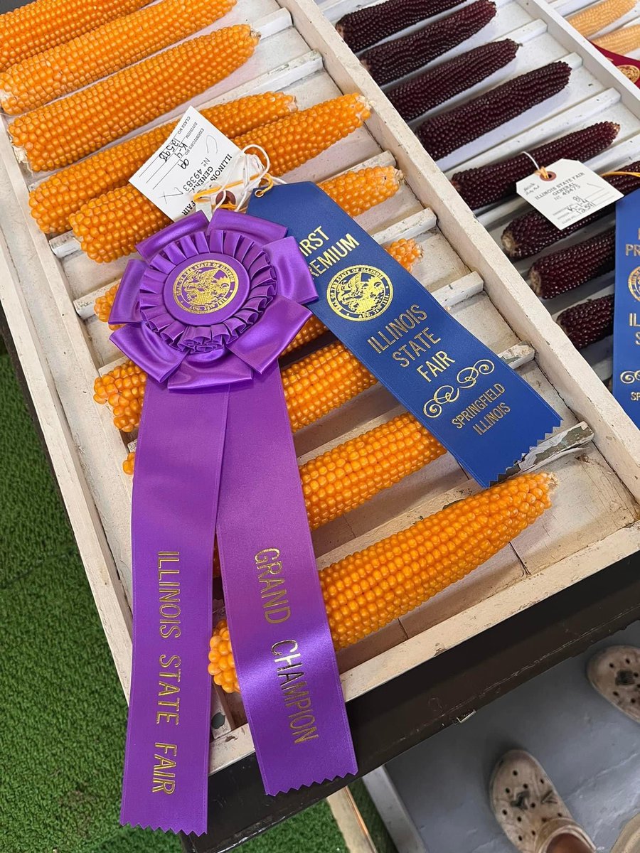 mamaTooStrong's tweet photo. It’s good at the @ILStateFair. The Boss won Grand Champion popcorn. For those keeping track at home, that’s 6 out of the last 8 years. We have a happy farmer today. #popcorn #grandchampion #womeninag #statefair https://t.co/zJYvfHvwq6