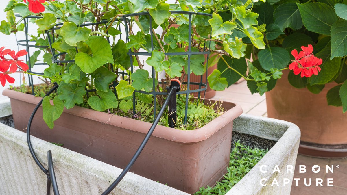 💧 Conserving water is crucial, even in November. 

Adjust your irrigation system as the weather cools down to prevent unnecessary water waste. Every drop saved makes a difference. 💦🍂

#WaterConservation #SustainableLiving