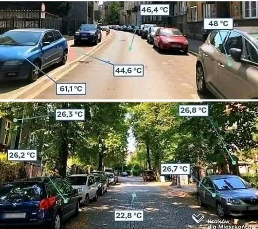 groasis's tweet photo. Research indicates tree canopy reduces street and ground temperature by several degrees.
Reach out to us and green your city and plant a tree in your front or backyard with the #Groasis #Waterboxx.
https://t.co/rztzD6yTnw
https://t.co/J9K8fFWCIC
https://t.co/cFzRTKYNgb #C40Cities https://t.co/Q3nNNget5L