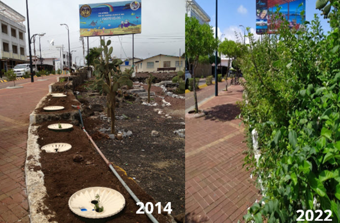 groasis's tweet photo. Research indicates tree canopy reduces street and ground temperature by several degrees.
Reach out to us and green your city and plant a tree in your front or backyard with the #Groasis #Waterboxx.
https://t.co/rztzD6yTnw
https://t.co/J9K8fFWCIC
https://t.co/cFzRTKYNgb #C40Cities https://t.co/Q3nNNget5L