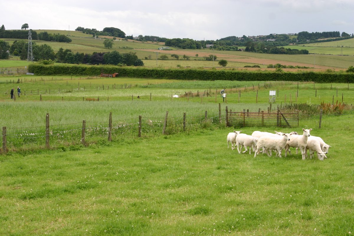 ECT_UK's tweet photo. A few weeks ago, we visited the #grassland #LongTermExperiment #LTE Tulloch in #Scotland & we met with the @SRUC. Here Christine Watson is investigating the productivity of #legume based systems through the use of #CropRotations. @AgGlten More on Tulloch: https://t.co/YGT9DUDLyZ https://t.co/9HD1BJ5sls