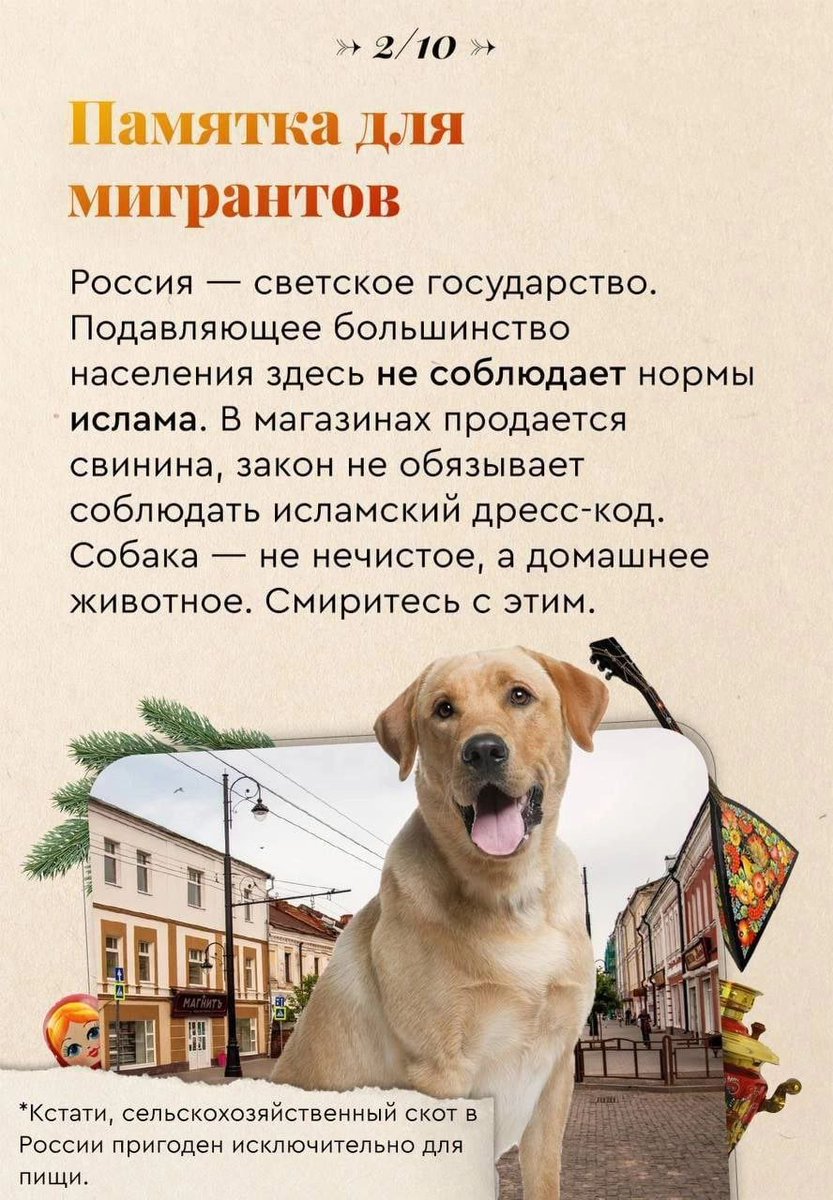 kosvihcev's tweet photo. https://t.co/Rkc0NCCrXV