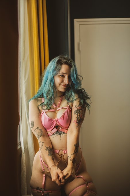 Moi quand je suis un bouquet myst&egrave;re 😺 https://t.co/Och6Bbz8U6