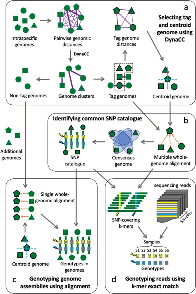 Genome Biology (@genomebiology) on Twitter photo Maast, a bioinformatics tool, presented by Zhou Jason Shi, Stephen Nayfach & Katherine Pollard <a href="/czbiohub/">Chan Zuckerberg Biohub Network</a> <a href="/jgi/">Joint Genome Institute</a> implements a novel algorithm to heuristically identify a minimal set of diverse conspecific genomes, enabling rapid and accurate genotyping
bit.ly/3s8vw5O Maast, a bioinformatics tool, presented by Zhou Jason Shi, Stephen Nayfach & Katherine Pollard <a href="/czbiohub/">Chan Zuckerberg Biohub Network</a> <a href="/jgi/">Joint Genome Institute</a> implements a novel algorithm to heuristically identify a minimal set of diverse conspecific genomes, enabling rapid and accurate genotyping
bit.ly/3s8vw5O