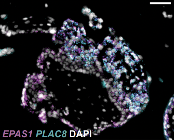 Kaela Varberg, PhD tweet media