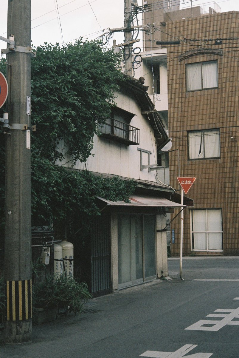 HisaFoto's tweet photo. 「#鹿児島Alley 」
.
.
.
#leica #leicaiiib #summitar #ズミタール  #beliveinfilm #ifyouleave #theanalogueproject #analogfeatures #analogue #filmphoto #filmcommunity #filmisnotdead #ishootfilm #filmcamera #フィルム #フィルムカメラ #鹿児島 #kagoshima #japan https://t.co/0UiQUCVb9f
