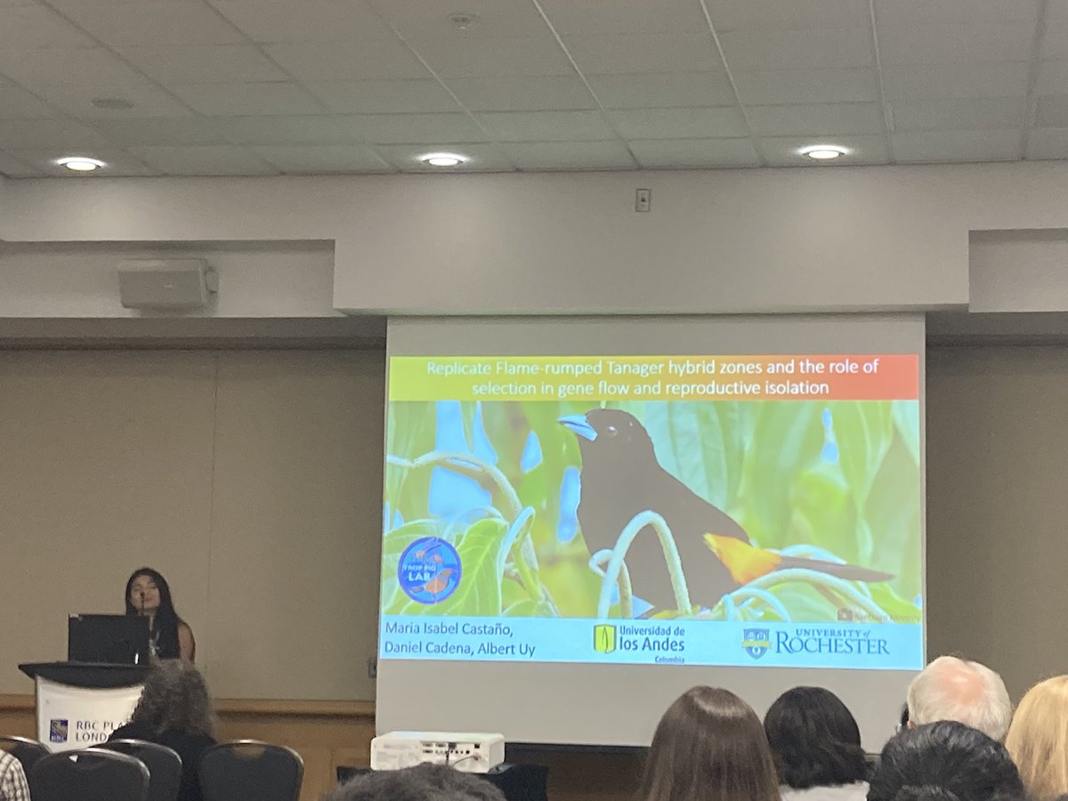 Sara Lipshutz tweet media