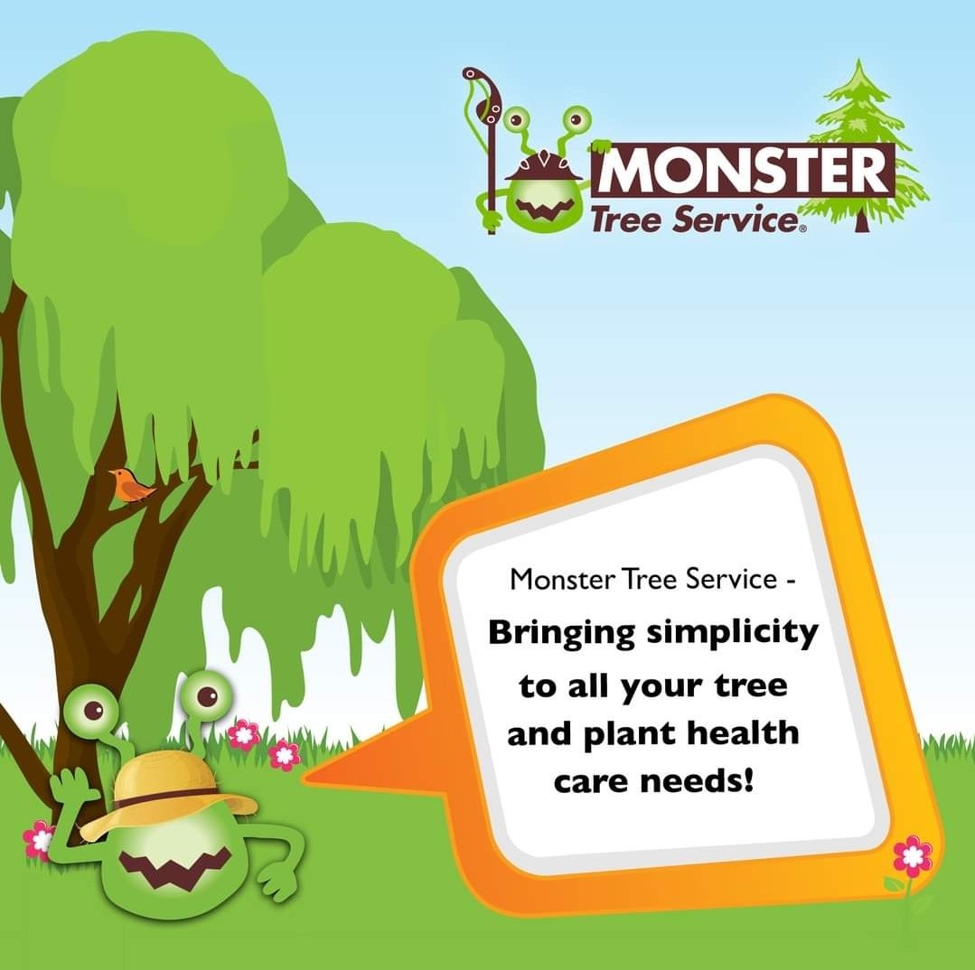 MonsterTreeMD's tweet image. 🌳🌿 Simplify your plant health care 🌱✨ Our expert arborists take care of all your green needs so you can sit back and watch your foliage flourish! 🌿💚 Say goodbye to worries and hello to a beautiful, healthy landscape. 🏡🌳 #MonsterTreeService #TreeHealthCare #PlantCare