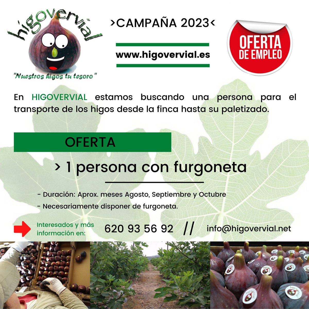 💥 OFERTA DE TRABAJO

😉 En HIGOVERVIAL estamos buscando una persona para el transporte de los higos desde la finca hasta su paletizado.

💣 ¿Estás interesado/a?

¡CAMPAÑA 2023!

#higo #higos #higofresco #orquino #depascua #gourmet #XXL #laalpujarra #campaña2023 #ofertaempleo