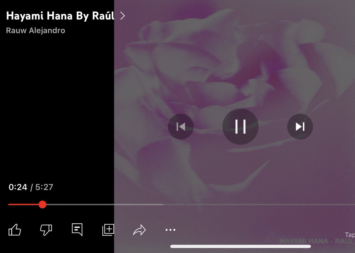 rauw alejandro decidió sacar esto y romper mi corazón en mil