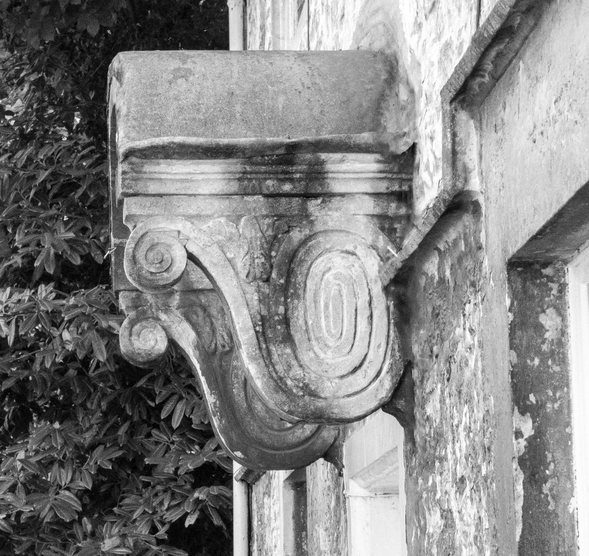 Sarah Foxley tweet media