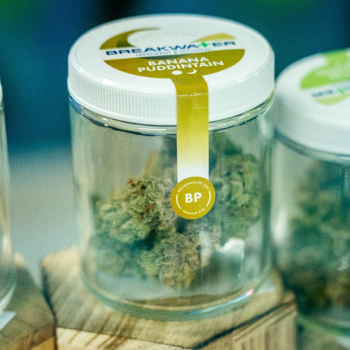 riptdispensary's tweet photo. Straight Outta Jersey City: RIPT Dispensary and @BreakwaterATC Join Forces! 🌆
Read more here:
https://t.co/FNYyUve8h0
#RIPTDispo #RIPTNJ https://t.co/R9TqtKLutN