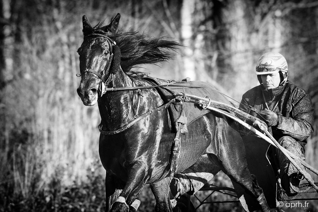 Bon voyage READY CASH, Champion des champions...