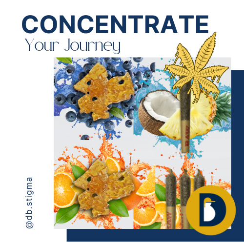 Independent Retail Cannabis Collective tweet media