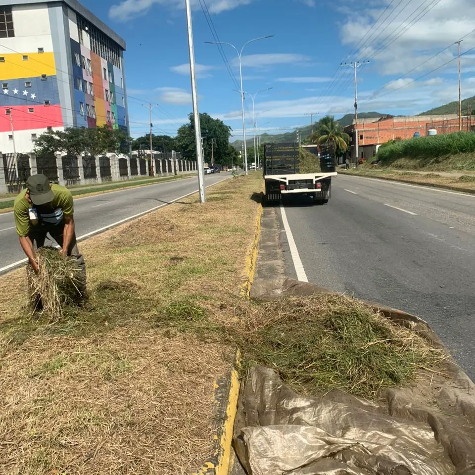Instit12Febrero's tweet photo. #10Ago 👷🚧Trabajos de Recolección de desechos sólidos y Orgánicos en la Av. Bicentenaria Municipio José Félix Ribas.
#RibasVuelveASonreir #GobernamosParaServir https://t.co/UIhA9jvmkO