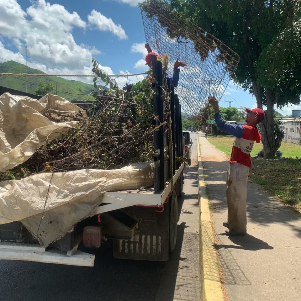 Instit12Febrero's tweet photo. #10Ago 👷🚧Trabajos de Recolección de desechos sólidos y Orgánicos en la Av. Bicentenaria Municipio José Félix Ribas.
#RibasVuelveASonreir #GobernamosParaServir https://t.co/UIhA9jvmkO