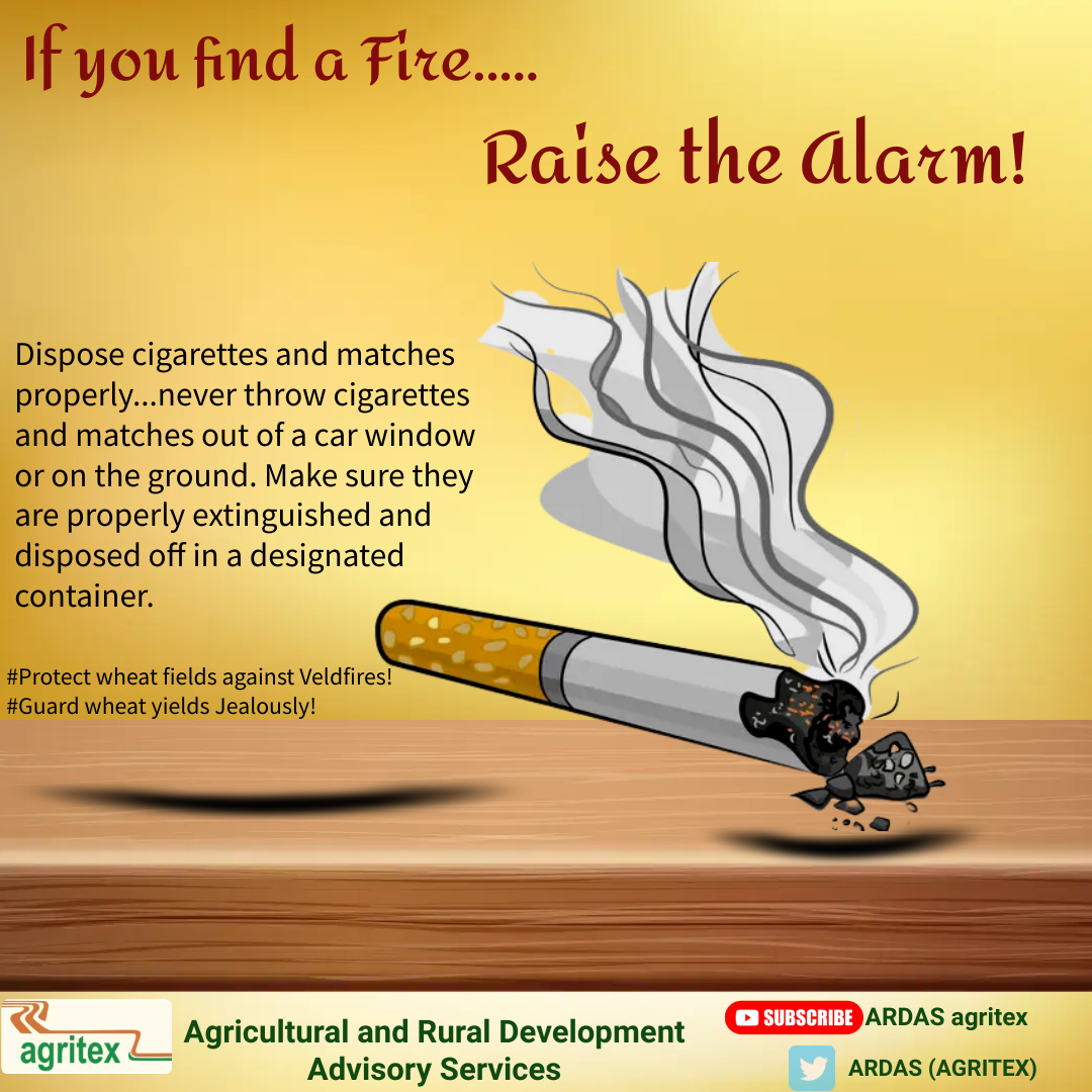 why do i keep on smelling cigarette smoke How to Smoke in Your Home and Eliminate the Smell (10 Tips)