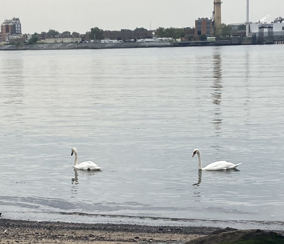 ElProfe369's tweet image. And a most Thankful Thursday to you, my Brothers and Sisters.🔥👑

I￼n the words of one of my favorite people ever, “God can be found in nature” ~ Albert Einstein 

My office today/Mi oficina hoy 🔥👑🙌🏽
#LausDeiuAdInfinitum #SolInvictus #InAllThingsGiveThanks