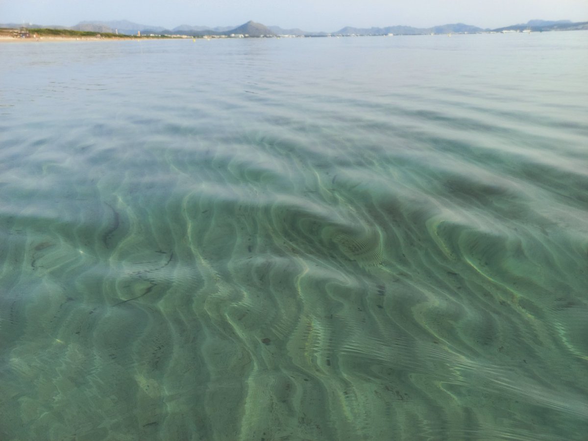SylviavdSchraaf's tweet photo. El #mar hoy sobre las 8h. La #calima pareció niebla y daba un halo misterioso al #sol.De nuevo encontré aquí el único #alivio para el #dolor cada vez + fuerte d la #herniadiscal,#sacroiliaca,#pelvis,#femur y d la #parestesia. En el 🌊 puedo moverme mejor y respiro...#dolorcrónico https://t.co/xhLz3sbvzl