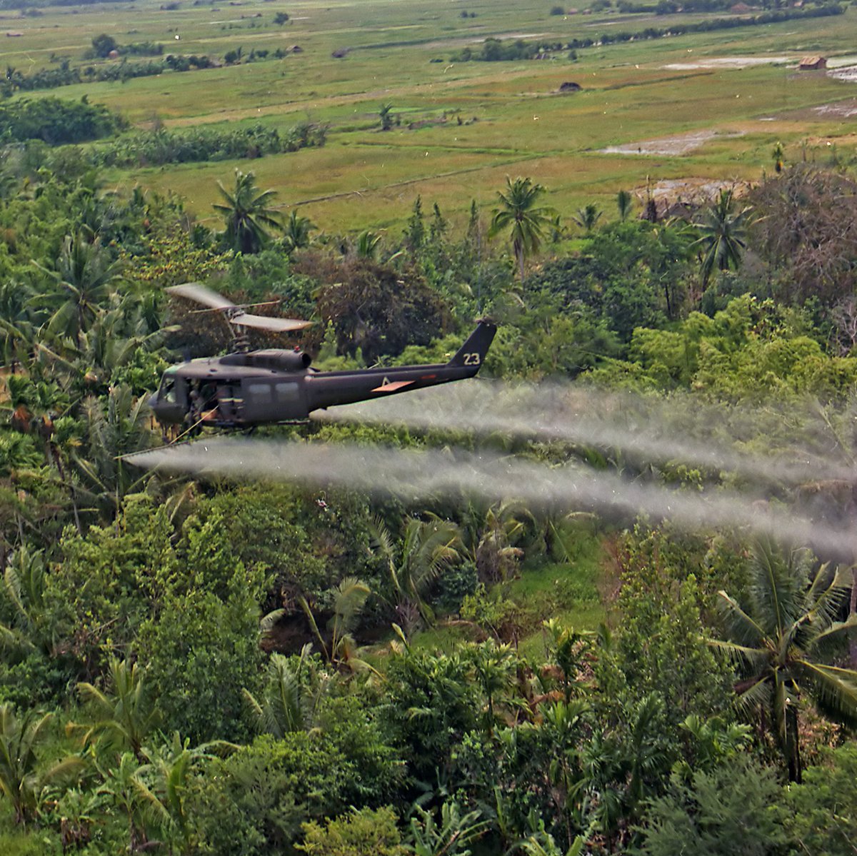 It’s estimated that 300,000 U.S. #veterans and 400,000 Vietnamese have died from exposure to #AgentOrange. The herbicide contained harmful dioxins that continue to impact lives today, and affected individuals suffer from cancers, respiratory disorders, and neurological