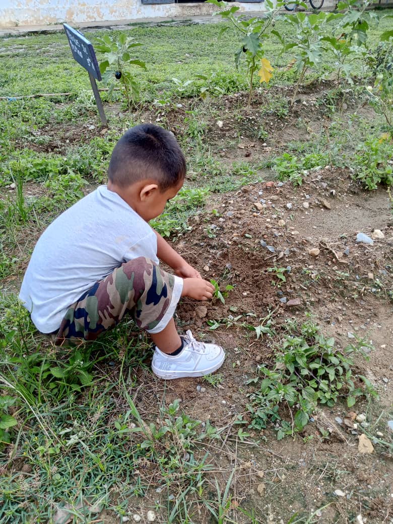 UEJP76's tweet photo. Plan Agosto de Escuelas Abiertas en la Esc Josefina Pimentel de Monay del CDCE La Paz Municipio Pampán #Trujillo @_LaAvanzadora @PtmsTrujillo
@gtorodelara 
@MPPEDUCACION @DIFD_Trujillo @ViceIP @cdcetrujillo @Twitera74 @PTMSNACIONAL @DGCPatrimonioy2 #VenezuelaRecuperóLoSuyo https://t.co/hA7AQ4GT7x