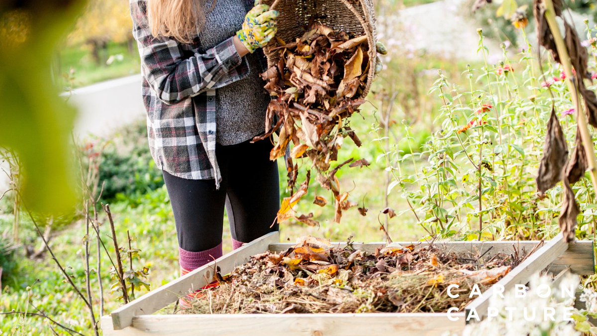 🌱 Instead of tossing fallen leaves into the trash, consider composting them.

They'll break down naturally and enrich your soil, making it more fertile for future growth. 🍂🌱 #LeafComposting #SoilEnrichment