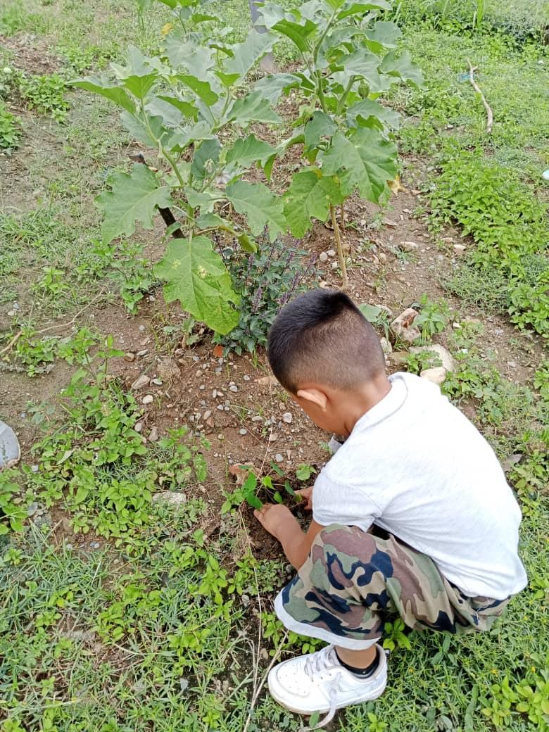 UEJP76's tweet photo. Plan Agosto de Escuelas Abiertas en la Esc Josefina Pimentel de Monay del CDCE La Paz Municipio Pampán #Trujillo @_LaAvanzadora @PtmsTrujillo
@gtorodelara 
@MPPEDUCACION @DIFD_Trujillo @ViceIP @cdcetrujillo @Twitera74 @PTMSNACIONAL @DGCPatrimonioy2 #VenezuelaRecuperóLoSuyo https://t.co/TQVxuKj47M