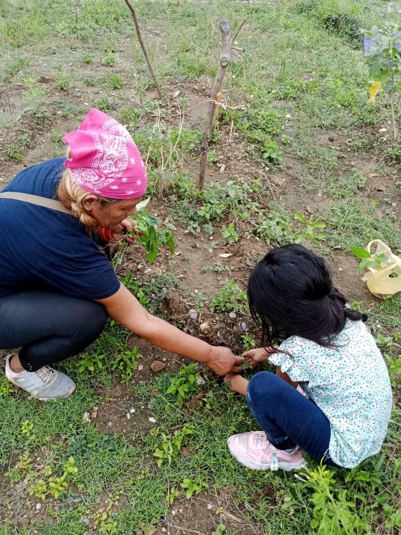 UEJP76's tweet photo. Plan Agosto de Escuelas Abiertas en la Esc Josefina Pimentel de Monay del CDCE La Paz Municipio Pampán #Trujillo @_LaAvanzadora @PtmsTrujillo
@gtorodelara 
@MPPEDUCACION @DIFD_Trujillo @ViceIP @cdcetrujillo @Twitera74 @PTMSNACIONAL @DGCPatrimonioy2 #VenezuelaRecuperóLoSuyo https://t.co/TQVxuKj47M