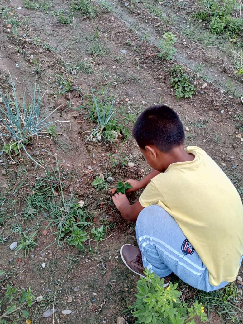 Plan Agosto de Escuelas Abiertas en la Esc Josefina Pimentel de Monay del CDCE La Paz Municipio Pampán #Trujillo <a href="/_LaAvanzadora/">Yelitze Santaella</a> <a href="/PtmsTrujillo/">PTMS TRUJILLO</a>
<a href="/gtorodelara/">Gisela Toro Hernández</a> 
@MPPEDUCACION <a href="/DIFD_Trujillo/">División de Investigación y Formación Doc.Trujillo</a> <a href="/ViceIP/">VEIP</a> @cdcetrujillo <a href="/Twitera74/">⚢♈𝓒. 𝓡♈⚢</a> <a href="/PTMSNACIONAL/">Programa Todas las Manos a la Siembra</a> <a href="/DGCPatrimonioy2/">DGCULTURA_MPPE</a> #VenezuelaRecuperóLoSuyo