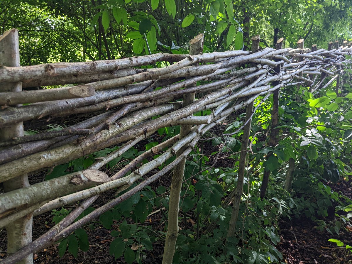 Amia_Cat's tweet photo. Bimbling from #Selling to #Badlesmere was delightful.
I had to play 'hunt the footpath sign' but found it eventually hidden in a hedge heavy with hops. Orchards, wheat fields, kestrels, buzzards and a gorgeous valley with woods to either side π
@SlowWaysUK #greenpilgrimage https://t.co/8feDbHfEFJ