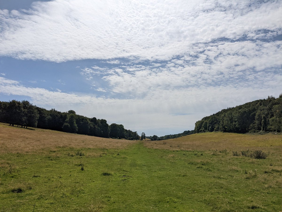 Amia_Cat's tweet photo. Bimbling from #Selling to #Badlesmere was delightful.
I had to play 'hunt the footpath sign' but found it eventually hidden in a hedge heavy with hops. Orchards, wheat fields, kestrels, buzzards and a gorgeous valley with woods to either side π
@SlowWaysUK #greenpilgrimage https://t.co/8feDbHfEFJ