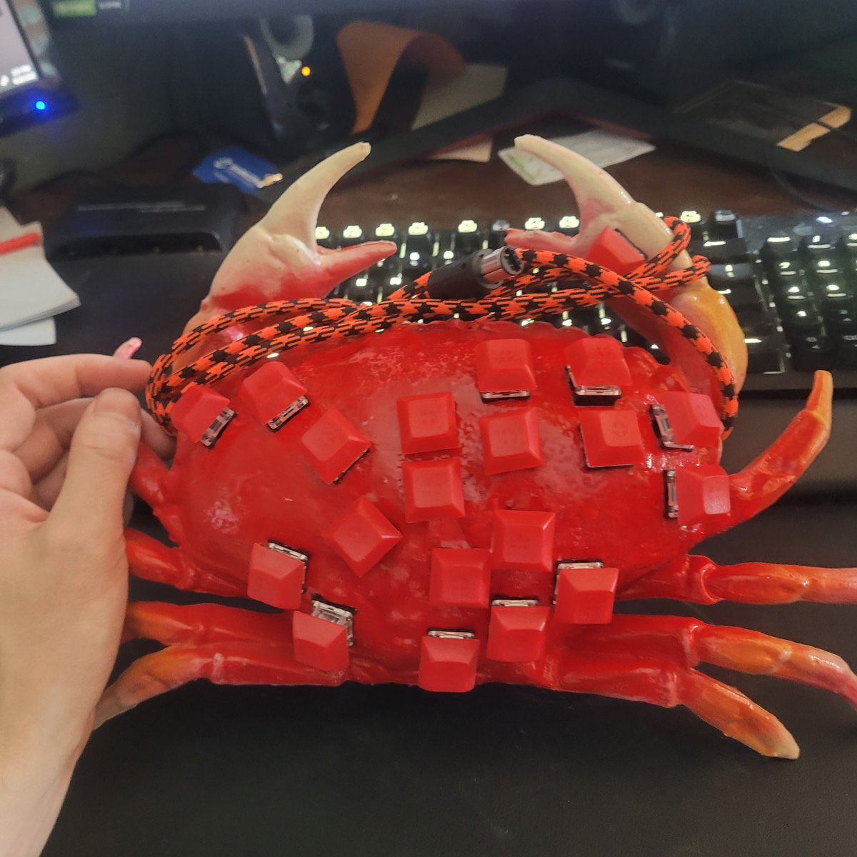 hungrybox tweet media