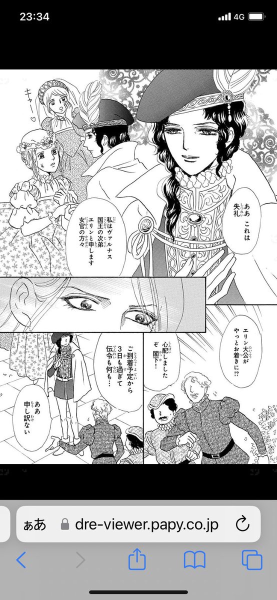 いつもの如く始まり、いつもの如く最後にドンデン返しも多々用意してございます←入れ過ぎ😅
#ローゼリア王国物語
#さちみりほ
#C102お品書き 