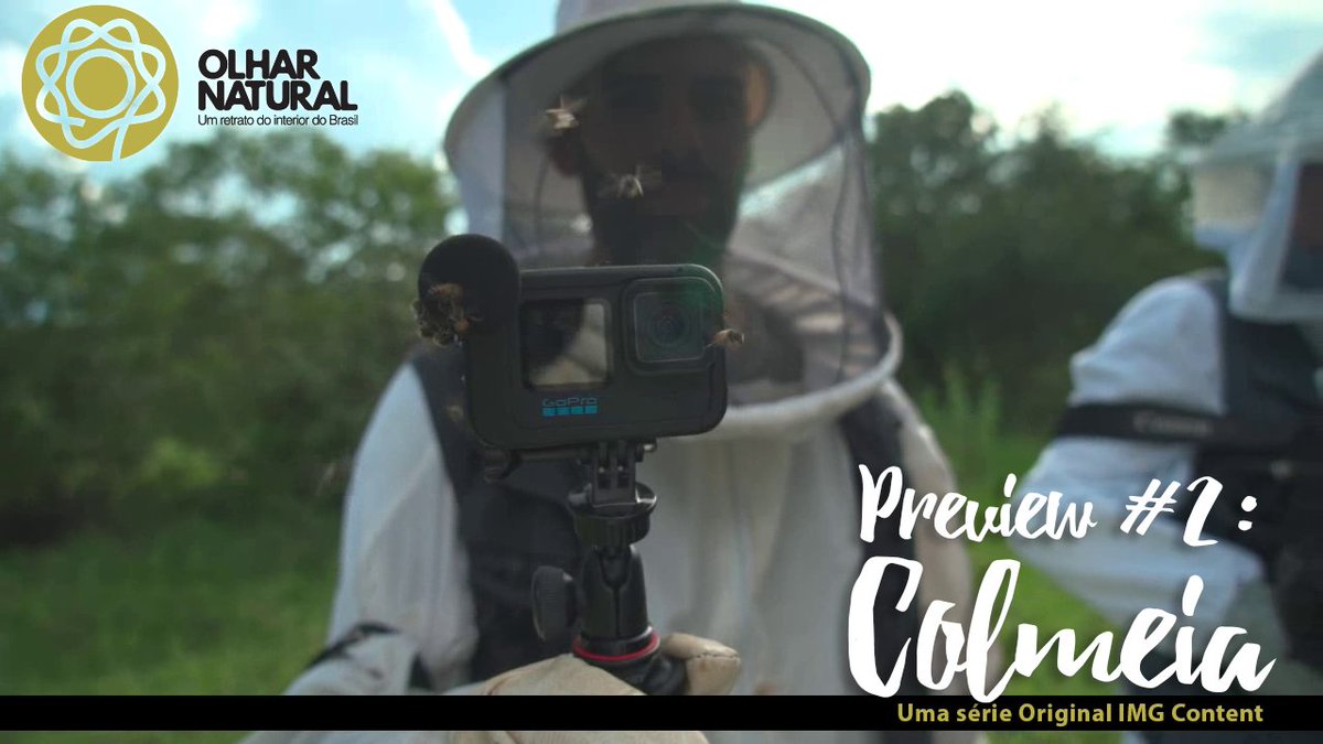 imgcontent's tweet photo. "Olhar Natural" é uma série documental que apresenta um retrato do Brasil profundo. Neste preview do episódio "Colmeia", filmamos a extração de mel em Campo Alegre de Lourdes, Bahia.

Uma filmagem com alguns perrengues pelo caminho!

https://t.co/htM8cQ405Q https://t.co/1ciYtZVTso