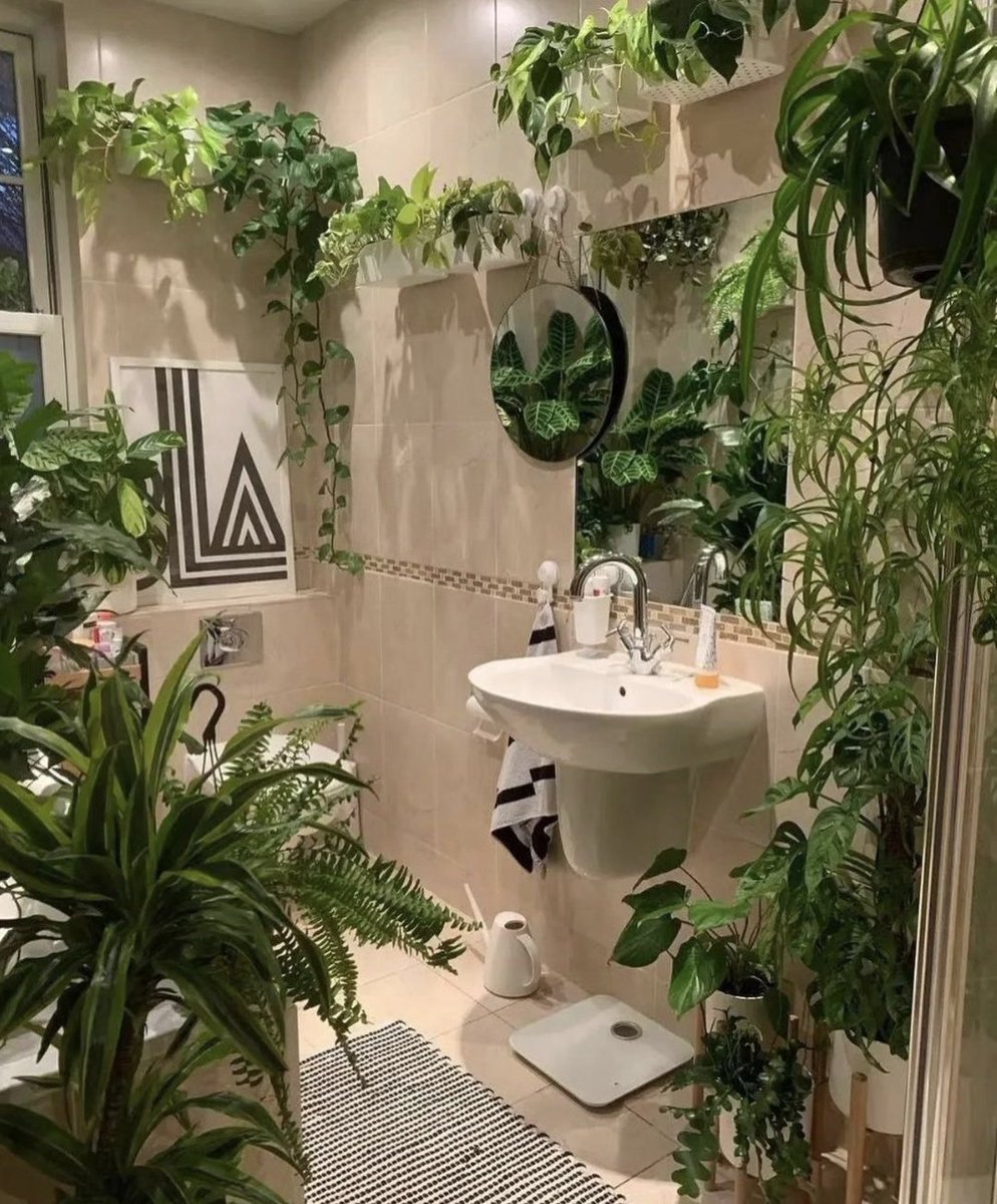 HobbyistPlant's tweet photo. Would you love or hate this bathroom?🌿 https://t.co/ZgiDKze7Ig
