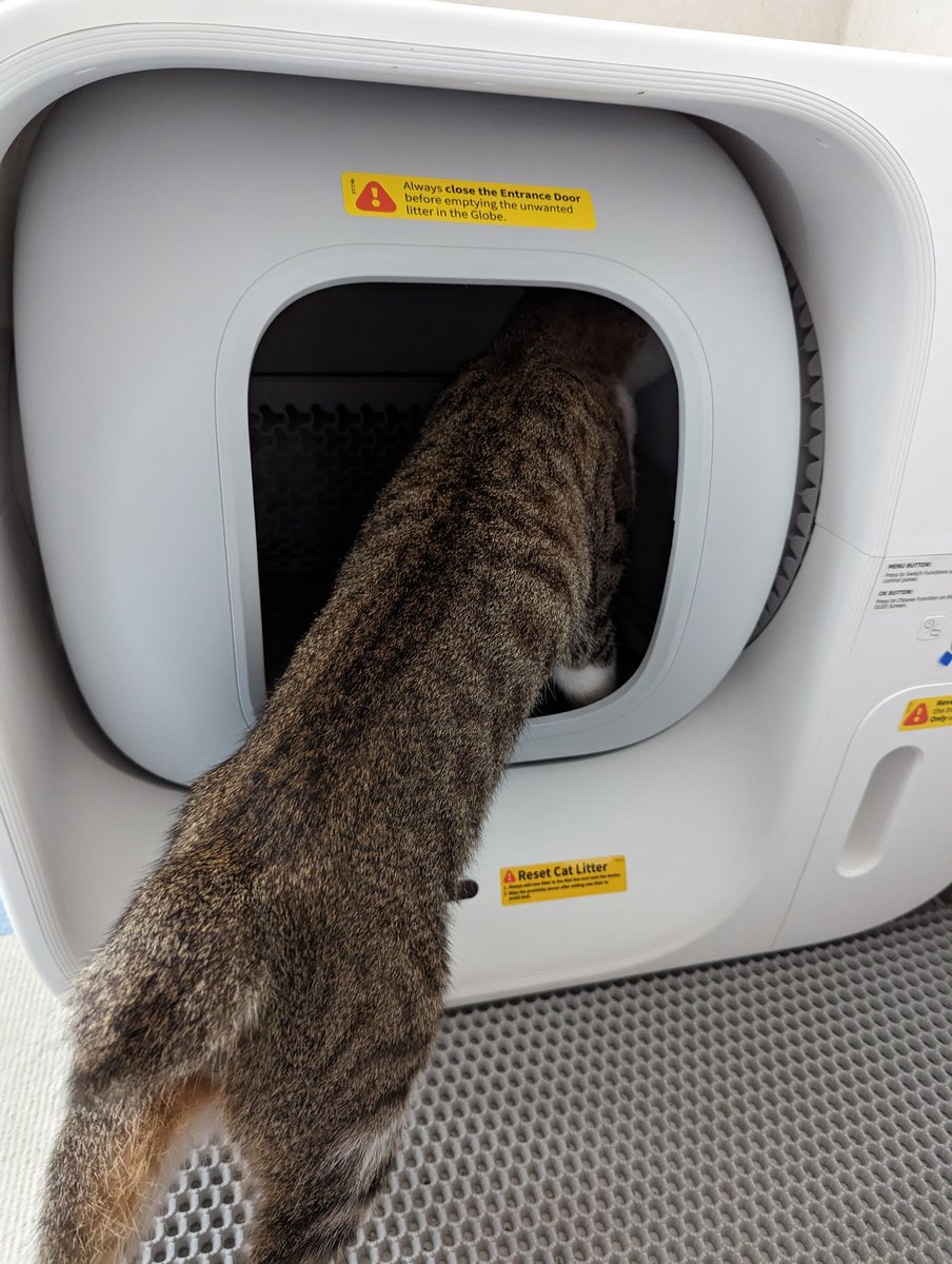 speedbug4859's tweet image. 等了好久總算到貨了，整個就很好奇啊！一直往裡面鑽，但是就是不用！