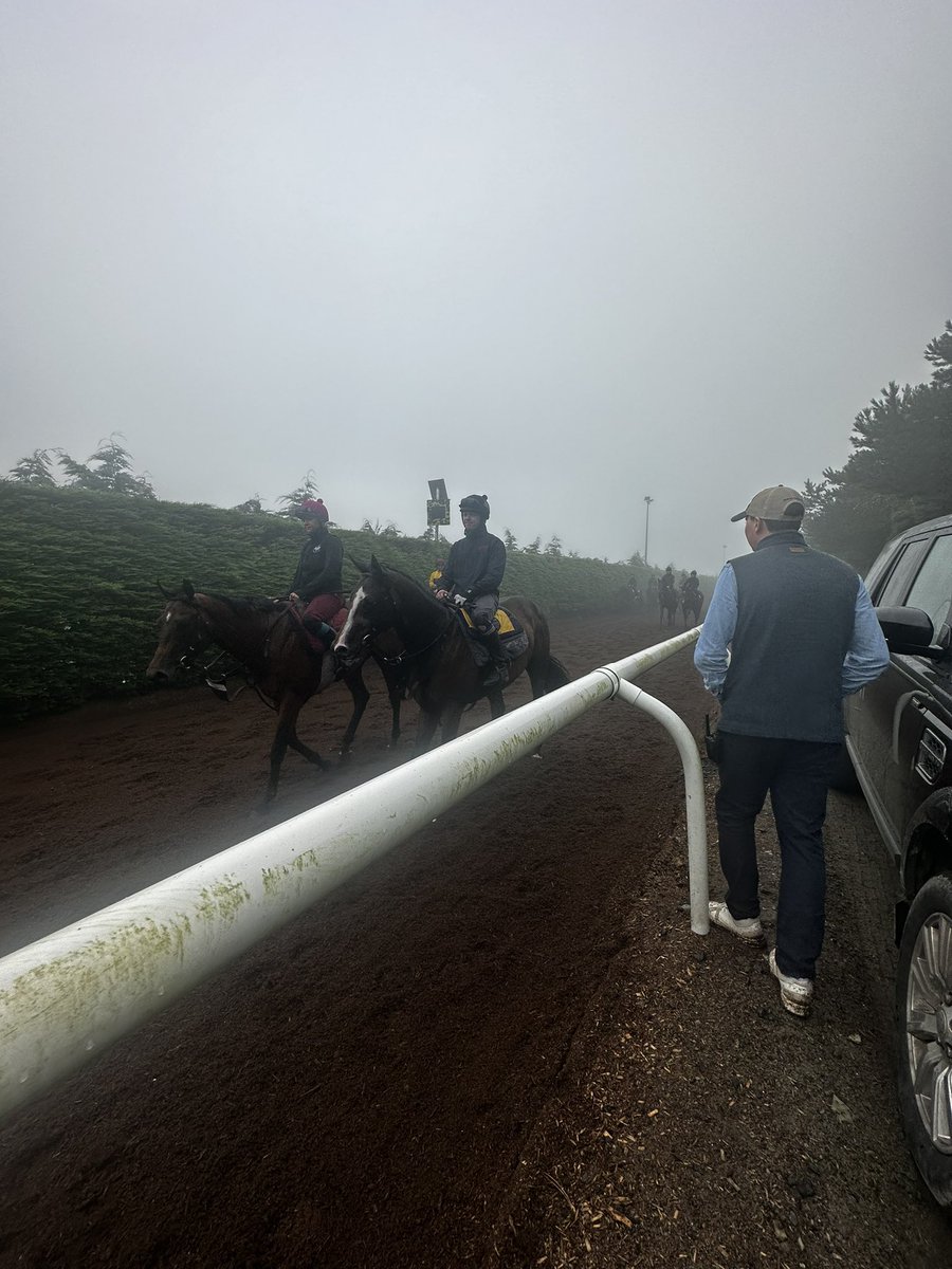 shirlsy's tweet photo. The rain &amp; fog did not dampen spirits for a glorious trip to see @JosephOBrien2 &amp; @tarakarmstrong. Thank you for having me.
Horses ⭐️⭐️⭐️⭐️⭐️
Training Facilities ⭐️⭐️⭐️⭐️⭐️
Hosts &amp; hospitality ⭐️⭐️⭐️⭐️⭐️
Puppies⭐️⭐️⭐️⭐️⭐️
Weather⭐️⭐️

 #TattsOnTour 🇮🇪🏇🏽 https://t.co/bE7vZeIMZF